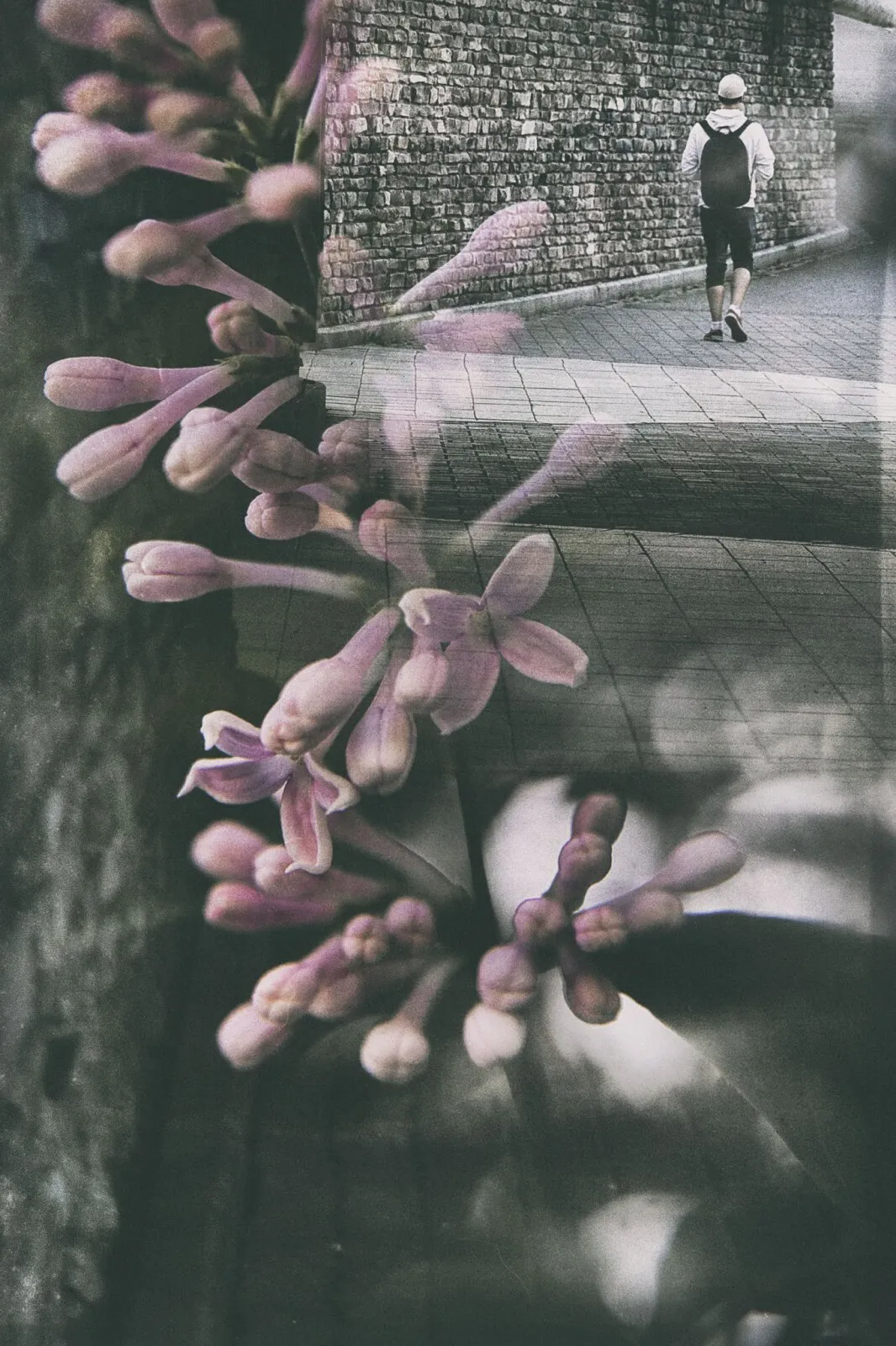 valokuvaus, streetart, streetphotography, double exposure, tuplavalotus, Canon, valokuvaus, Valokuvaaja, Frida Steiner, Visualaddict, visualaddictfrida, taidevalokuvaus, kokeileva valokuvaus, photographerlife, suomi, finland, espoo