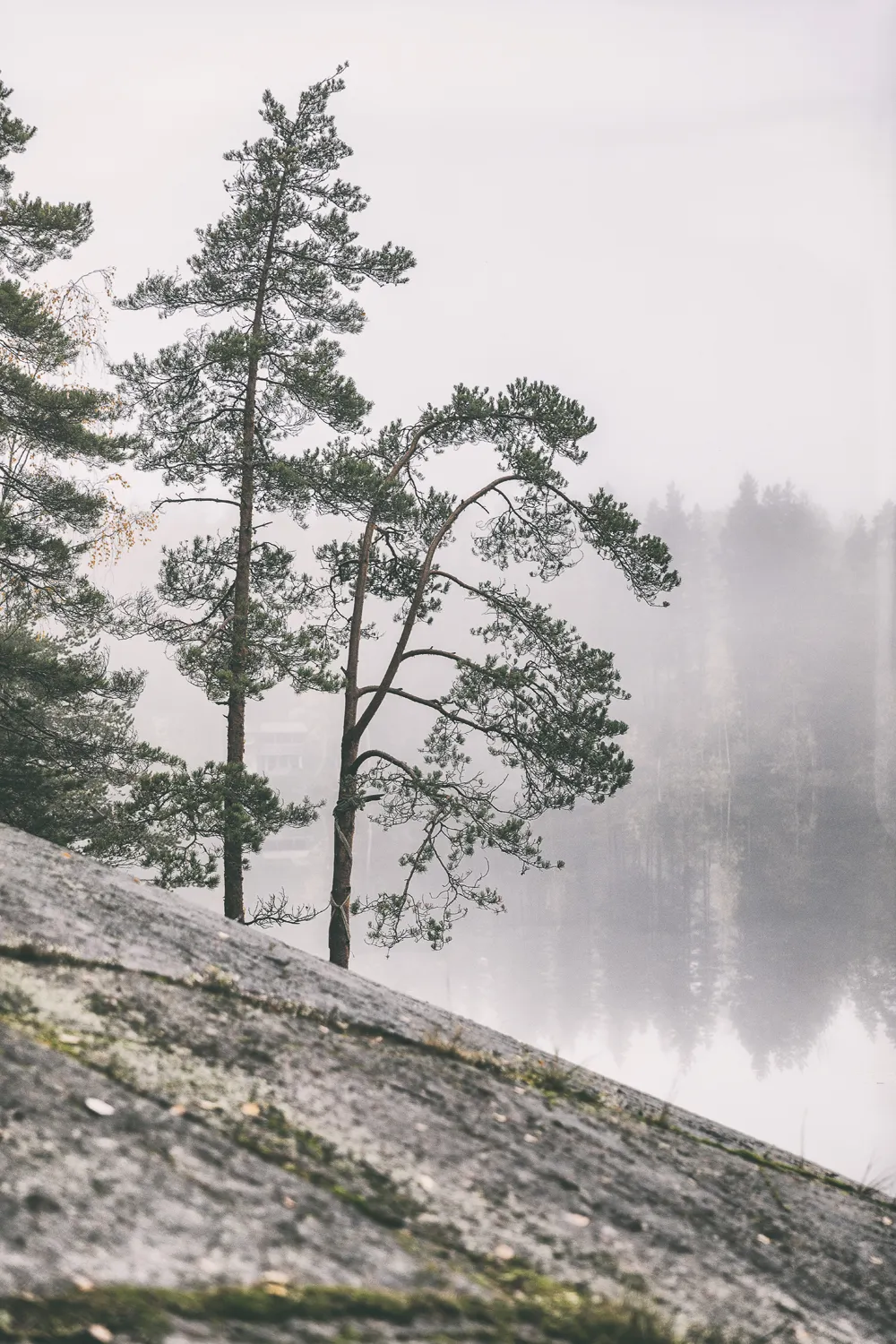 luonto, luontokuva, suomi, finland, visitfinland, nature, outdoors, naturephotography, outdoorphotography, valokuvaaja, pjotographer, Frida Steiner, Visualaddict, visualaddictfrida, forest, rocks, lake, lakeshore