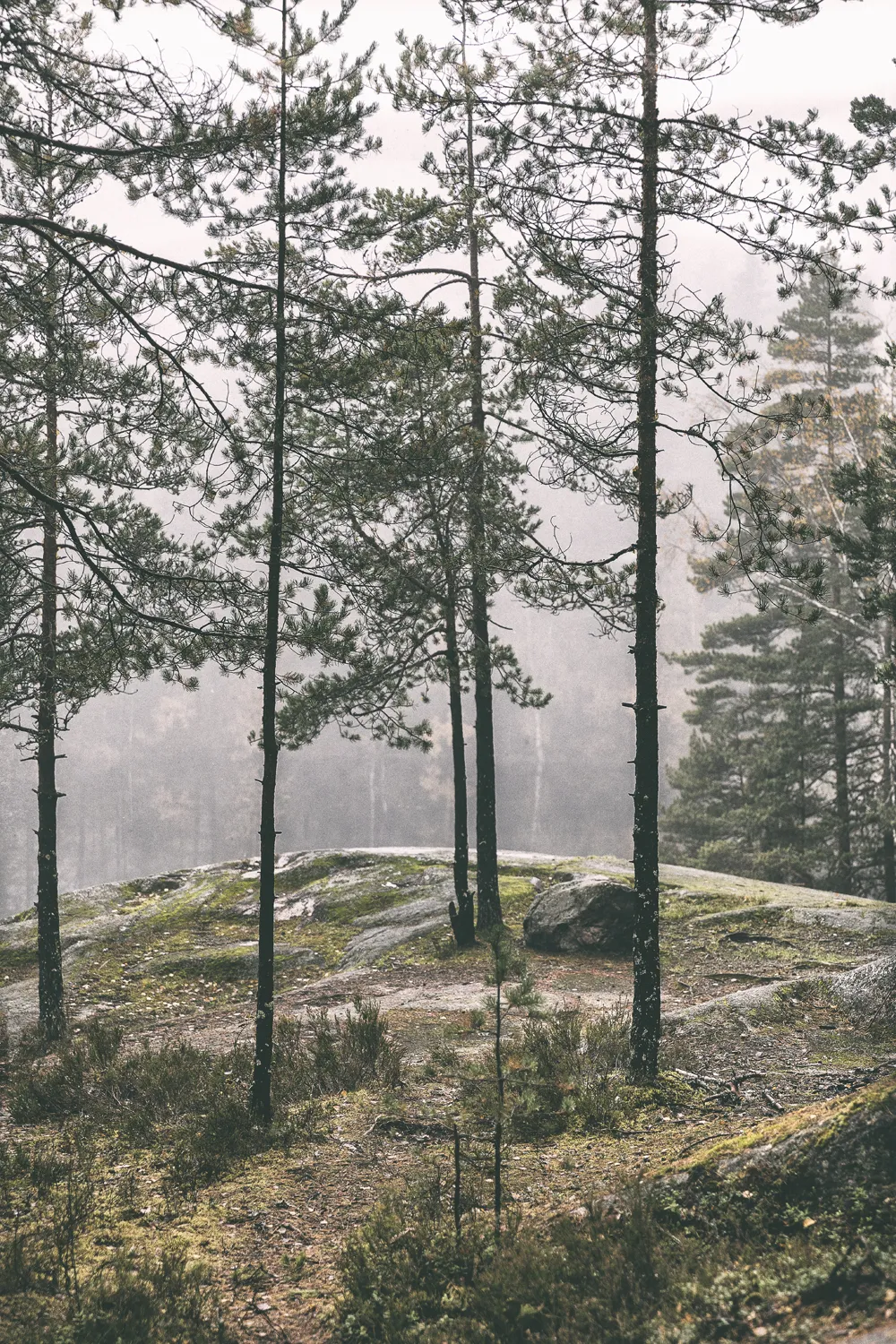 luonto, luontokuva, suomi, finland, visitfinland, nature, outdoors, naturephotography, outdoorphotography, valokuvaaja, pjotographer, Frida Steiner, Visualaddict, visualaddictfrida, forest, rocks, lake, lakeshore