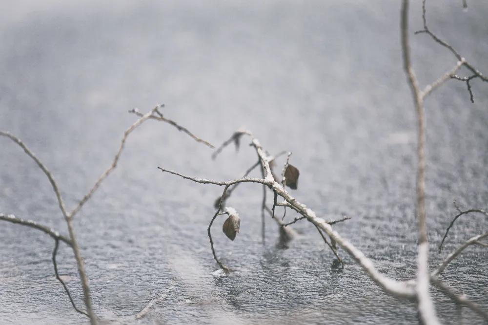 Nuuksio, Espoo, Kansallispuisto, luonto, nature, luontokuva, naturephotography, photographer, valokuvaaja, Frida Steiner, Espoo, Visualaddict, valokuvausblogi, Visualaddictfrida, valokuvaaminen, metsä, woods, park, national park, visitfinland, Finland, Nordic, Scandinavia