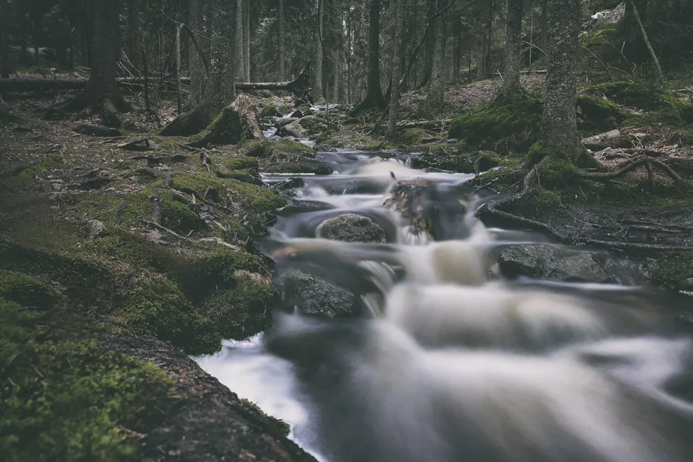 Nuuksio, Espoo, Kansallispuisto, luonto, nature, luontokuva, naturephotography, photographer, valokuvaaja, Frida Steiner, Espoo, Visualaddict, valokuvausblogi, Visualaddictfrida, valokuvaaminen, metsä, woods, park, national park, visitfinland, Finland, Nordic, Scandinavia, puro, stream