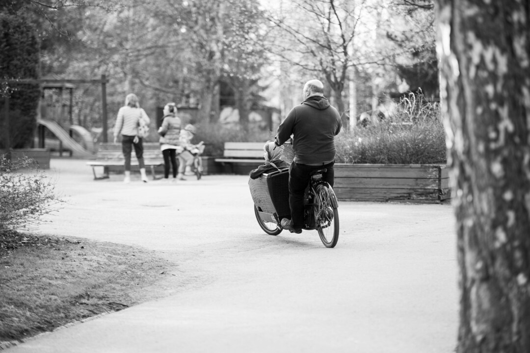 Kirsikankukkia Roihuvuoressa Frida Steiner